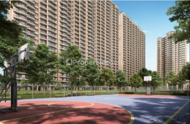 3 BHK Apartment / Flat for Sale in Sector 150, Noida