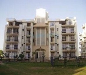 4 BHK Apartment / Flat for Sale in Ardee City, Gurgaon