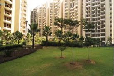 3 BHK Apartment / Flat for Sale in Sector 69, Gurgaon