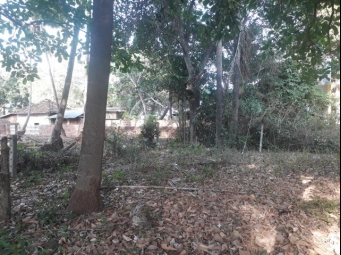 Residential Plot for Sale in Parra, Goa