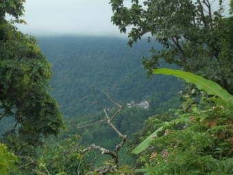 Agriculture Land for Sale in Pannaikadu, Kodaikanal